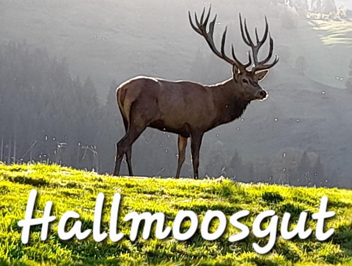 Hallmoosgut Sankt Johann im Pongau Zewnętrze zdjęcie