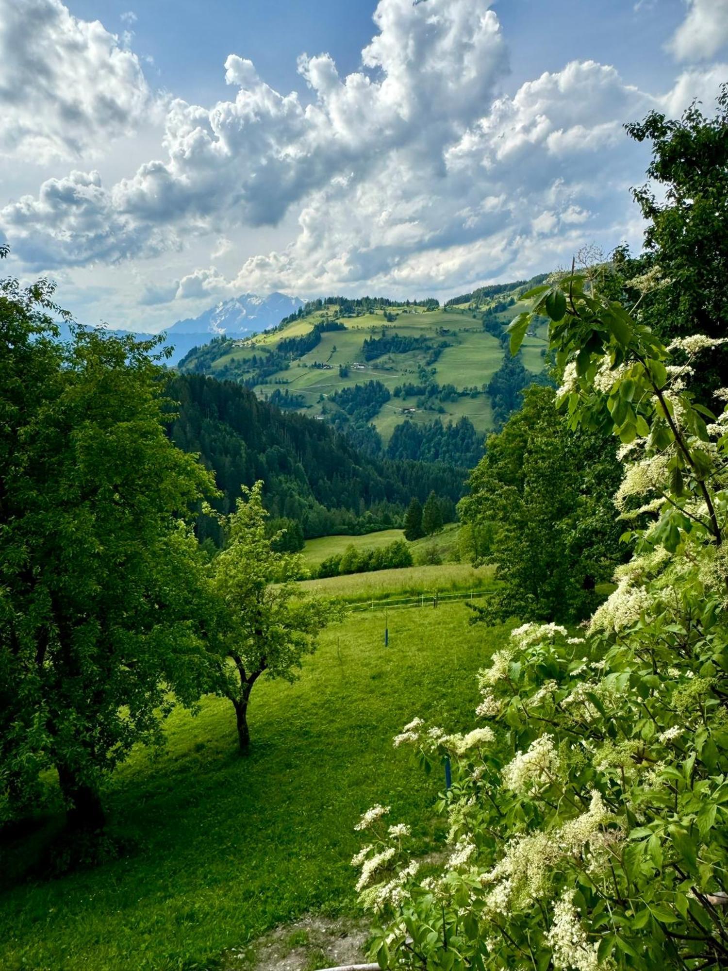Hallmoosgut Sankt Johann im Pongau Zewnętrze zdjęcie